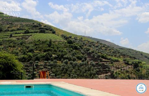 Quinta Do Monte Bravo - Douro - Quarto Duplo Villa Ervedosa do Douro Eksteriør billede