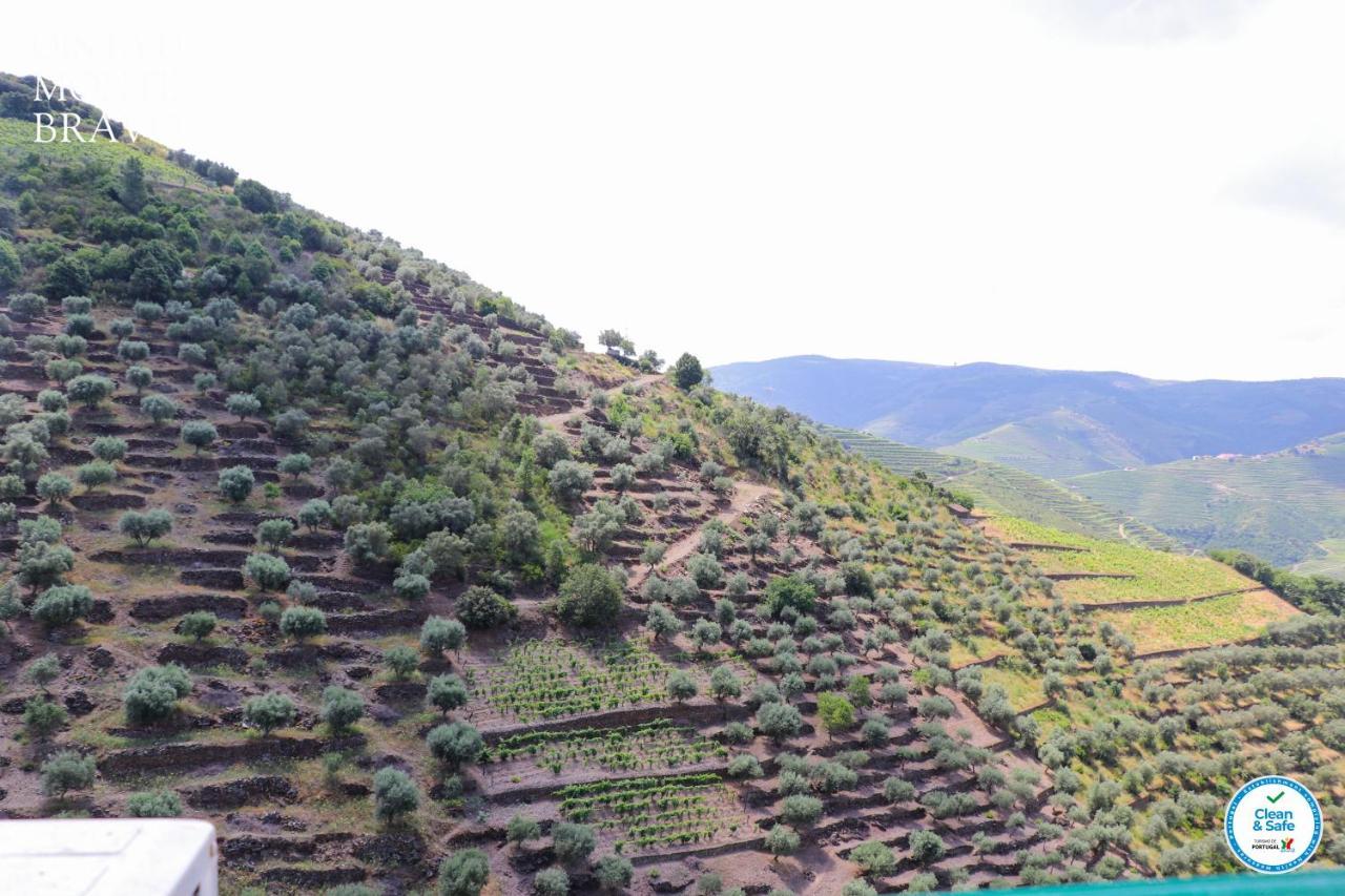 Quinta Do Monte Bravo - Douro - Quarto Duplo Villa Ervedosa do Douro Eksteriør billede