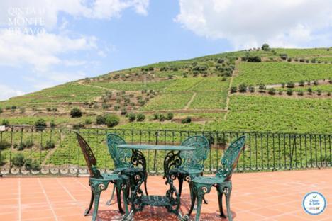 Quinta Do Monte Bravo - Douro - Quarto Duplo Villa Ervedosa do Douro Eksteriør billede