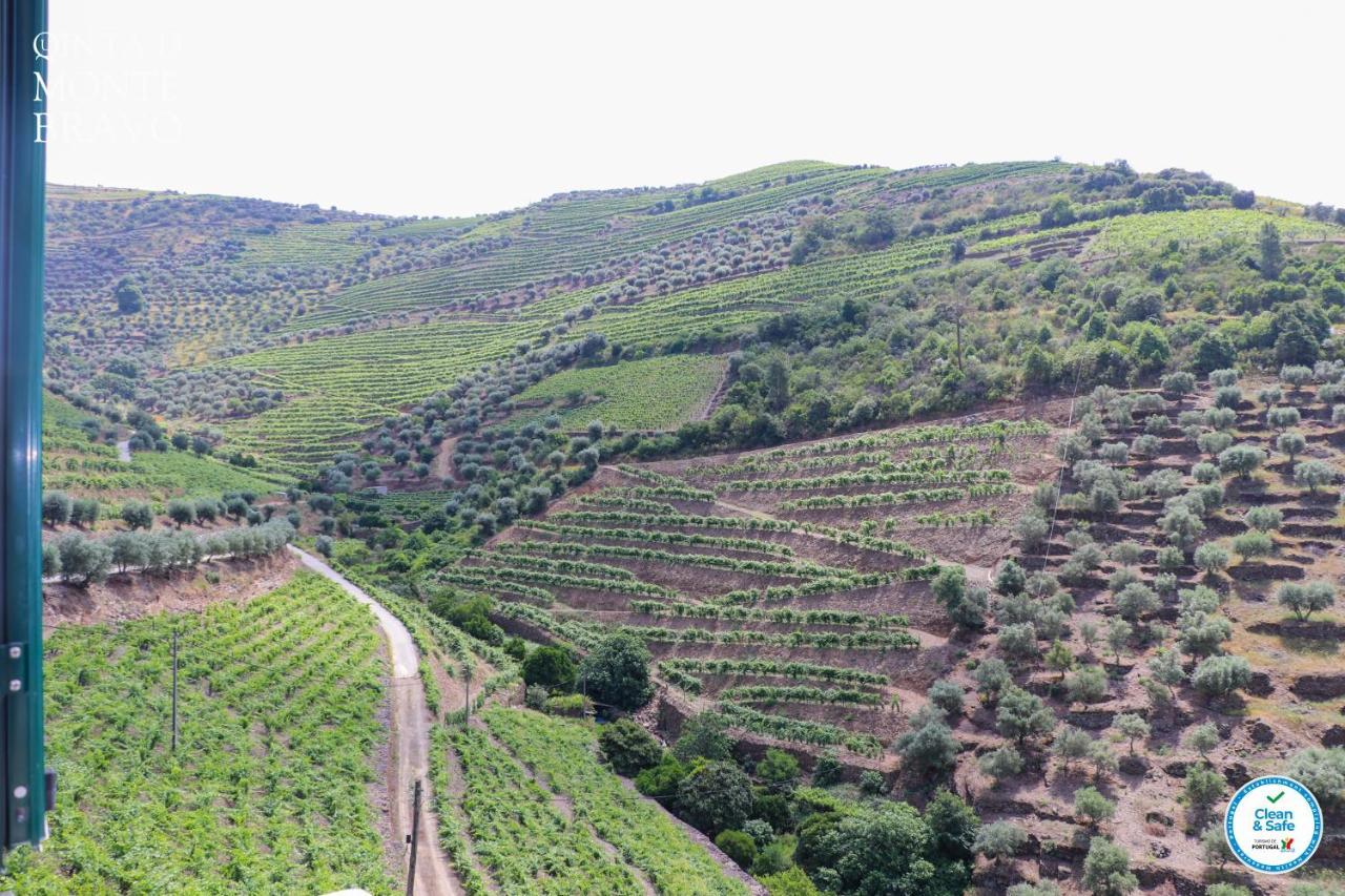 Quinta Do Monte Bravo - Douro - Quarto Duplo Villa Ervedosa do Douro Eksteriør billede